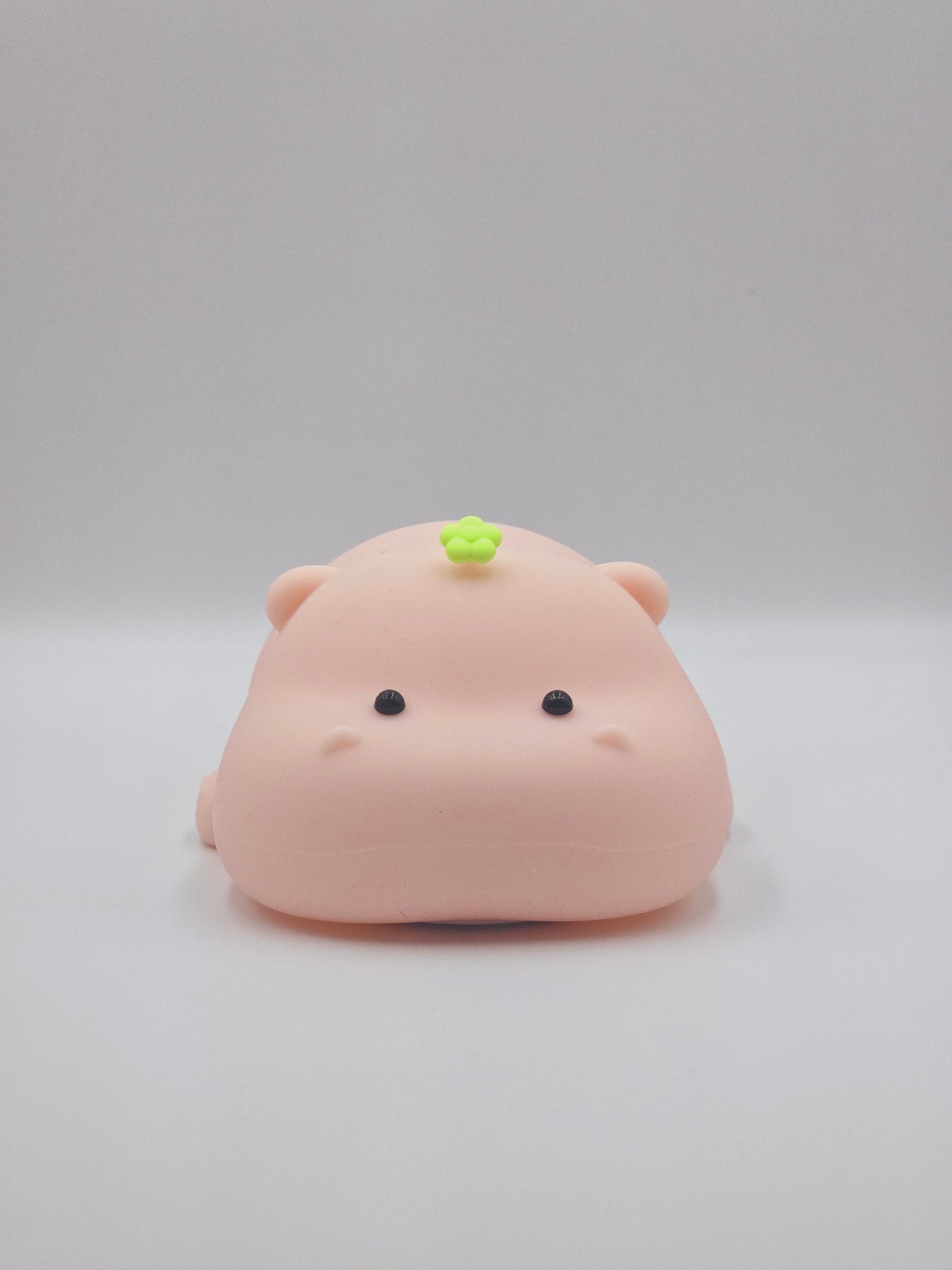 Littlebey Hippo