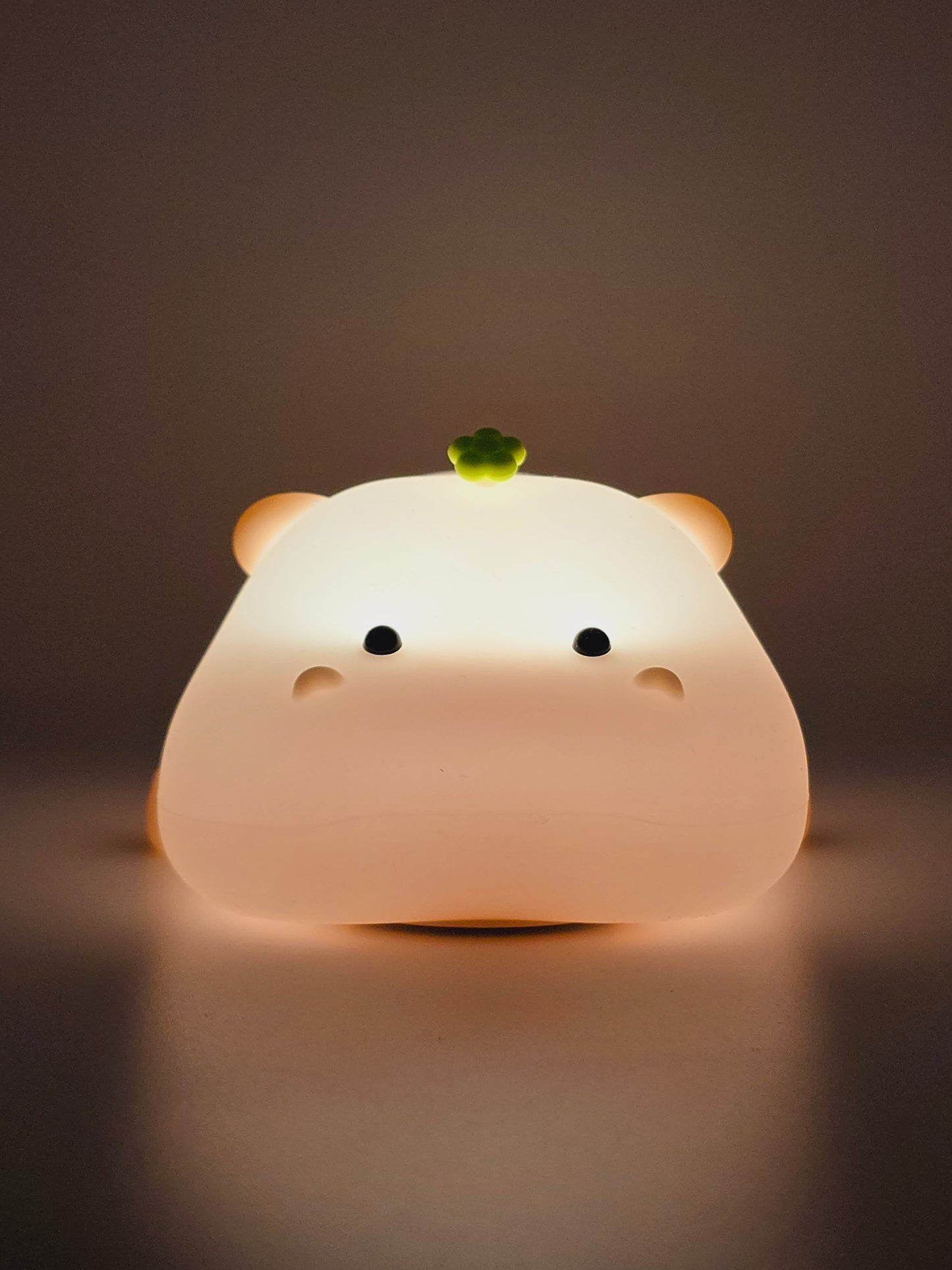 Littlebey Hippo
