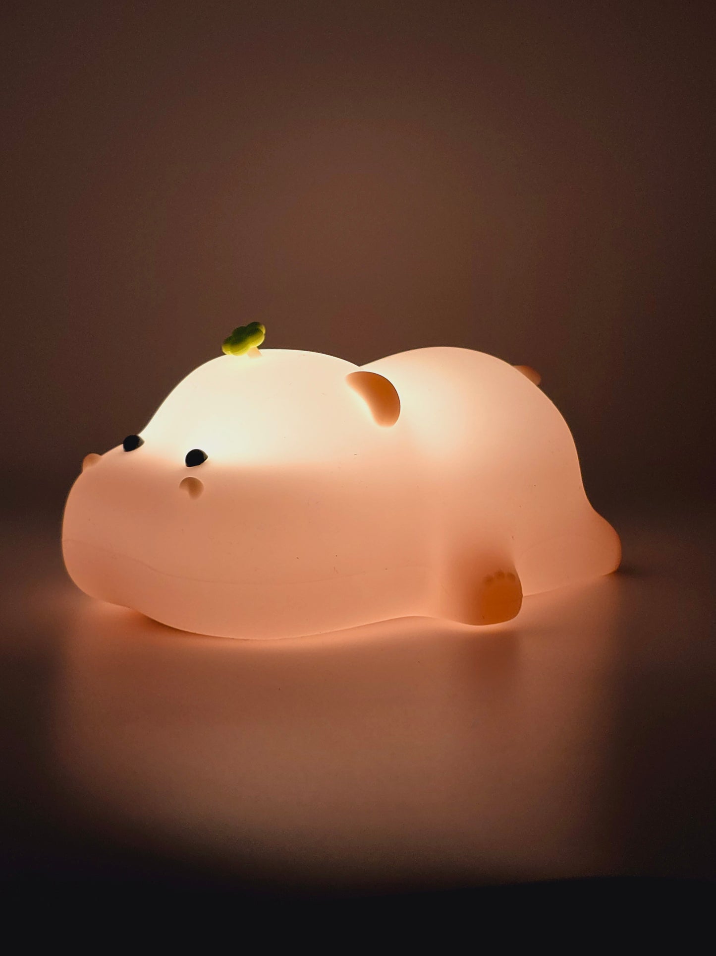 Littlebey Hippo